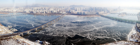 [1면 사진 모아보기] 겨울의 발자국