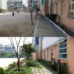 서울 초중고교 30곳에 식물 5만그루로 ‘그린커튼’ 설치