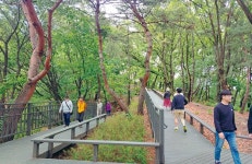 노원구, 보행 약자 배려 ‘영축산 순환산책로’ 개통