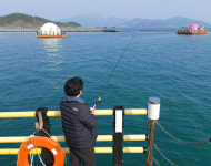 [ESC] 돔 잡으러 돔으로 가세