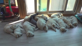 [주말TV 본방사수] ‘다큐3일’ 우리동네 미화원의 72시간