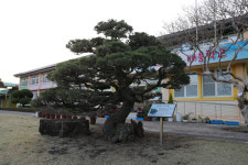 누구를 위한 제주 제2공항인가
