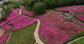 [옵스큐라] 가까이 보아야 이쁜 / 김혜윤