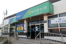 금융당국, ‘셀프대출’ 농협·축협 직원들 제재 절차 착수