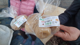 전북 ‘해충 나올 때 맞춰 천적 투입’ 채소농가 늘어난다