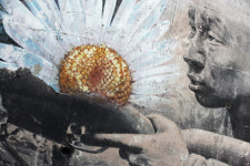 [이 순간] 38선이 두 동강 냈던 이 마을엔 평화가 숨쉰다