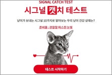 냥집사 10명 중 3명, ‘이것’ 몰라 병 키운다