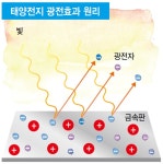 기후위기 시대 인사말 “포스, 아니 ‘광자’가 함께하길”