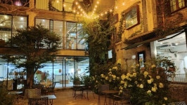 “오동나무 고목 살아나듯 ‘문화독립 기지’ 꽃피우고 싶어요”