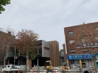 스타벅스 앞 멀쩡하던 가로수 고사…누가 농약을 넣었을까