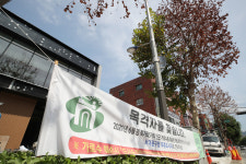 “고사한 응암로 가로수, 누가 농약 들이부어…기준치 700배 검출”