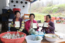 변신! 바로 딴 상추가 쏠쏠한 ‘배춧잎’으로