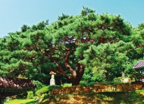 천상병 시 읽으며 걷는 수락산 숲길, ‘마음 소풍’의 길