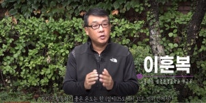 [영상 : THISCovery] 모기는 코로나19를 전파할까?…전문가에게 물어보니