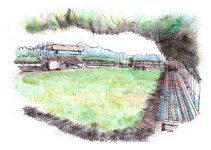 [부부 건축가의 공공탐색] 등나무 숲이 된 운동장