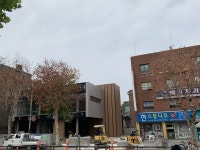 농약 고사 응암로 가로수, 검찰 기소까지 그대로 둔다