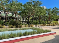 덕수궁, 상상의 정원