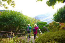 [ESC] 울긋불긋 단풍 옷 입은 숲에서 가을을 만나다