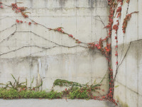 [ESC] ‘살고 싶은 동네’가 꼭 ‘살기 좋은 동네’는 아니야