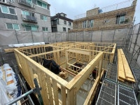 [ESC] 뼈대 있는 집, 나무가 한몫하네