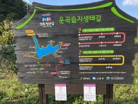 ‘아파트 숲’ 벗어나니…“오색딱따구리가 만든 나무 집을 봤어요”