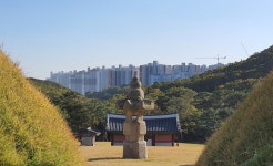 다가장묘개발 | 봉분에 다가서자 촘촘하게 채워진 ‘아파트 병풍’이 나타났다