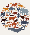 동물을 사랑하지 않는다, 존중할 뿐!