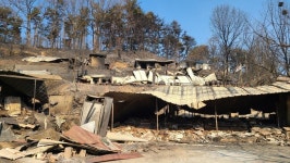 [현장] “소들도 살아야지…축사 문만 열어주고 도망쳤어요”