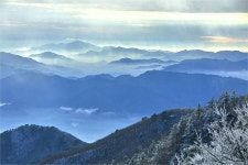 지리산을 걷는 건 몸 안 소나무를 숨쉬게 하는 것