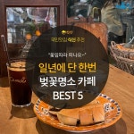 [카드뉴스] 꽃잎 따라 떠나는 봄의 커피 향, 벚꽃 명소 카페 BEST 5