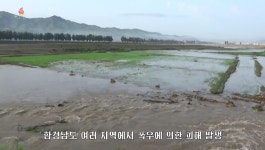 ‘한국 온실가스 배출량 10% 미만’ 북한의 기후위기 대응 방법은?