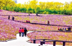 10만주 철쭉 속을 ‘꽃 같은 사람’과 함께…