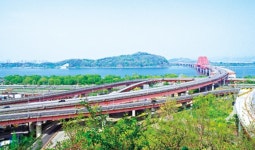 무슨 일 하든 안 하든, 숲길 들어선 순간 이미 ‘쉼표’다