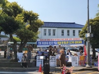 “40년 왕벚나무는 우리 역사”…제주 가로수 벌채에 분노한 할머니들