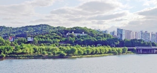 강가에 있어도 마을에 있어도, 숲은 ‘추억 길’ 통로