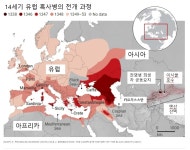 유럽 초토화 ‘흑사병 창궐’ 미스터리 700년 만에 풀렸다