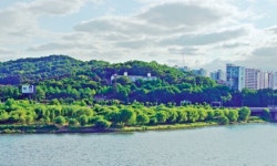 강가에 있어도 마을에 있어도, 숲은 ‘추억 길’ 통로