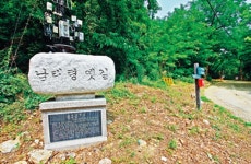 고개에 깃든 옛이야기, 숲이 품어 세월을 버텨오다