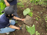 52번의 화천행…사육곰들에게 드디어 앞마당을 선물한다