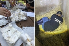 52번의 화천행…사육곰들에게 드디어 앞마당을 선물한다