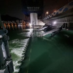 하굿둑 개방 3년…낙동강에 바다를 꿈꾸는 민물장어가 돌아왔다