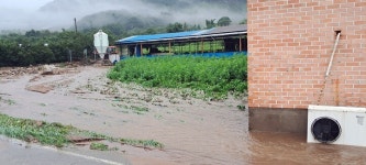 폭우로 8만1천여마리 닭 폐사…충남이 농경지 피해 가장 심해