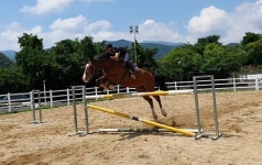 레저 넘어 재활·치유 승마까지 다룬다