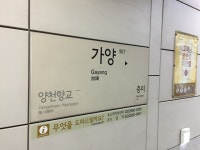 강화 갯벌서 발견 주검, 가양역 실종 20대 남성으로 확인
