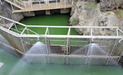 녹조 수돗물, 남의 일 같나요? [The 5]