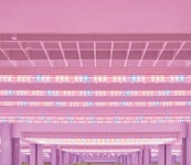 [SPECIAL] 사시사철 싱싱하게! 수직농장전문가