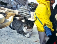 아침 화장실 속 느긋함…“삶의 속도 ‘자신’에 맞춰 행복”