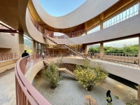 [배정한의 토포필리아] 나무가 주인공인 땅