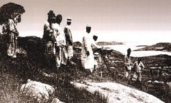 일본은 이렇게 조선의 쌀과 금을 빼먹었더라 [책&생각]