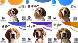 탐지견 12마리 은퇴합니다! 킁킁~ 새 가족 어디 계세요?